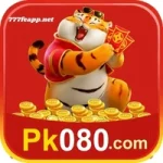 PK080 Game